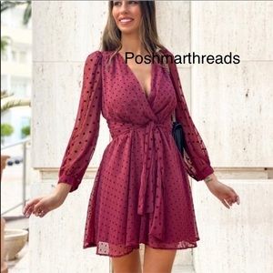 Zara dotted mesh belted mini dress